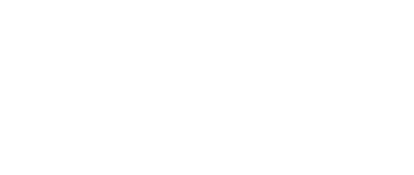 rollin_auto